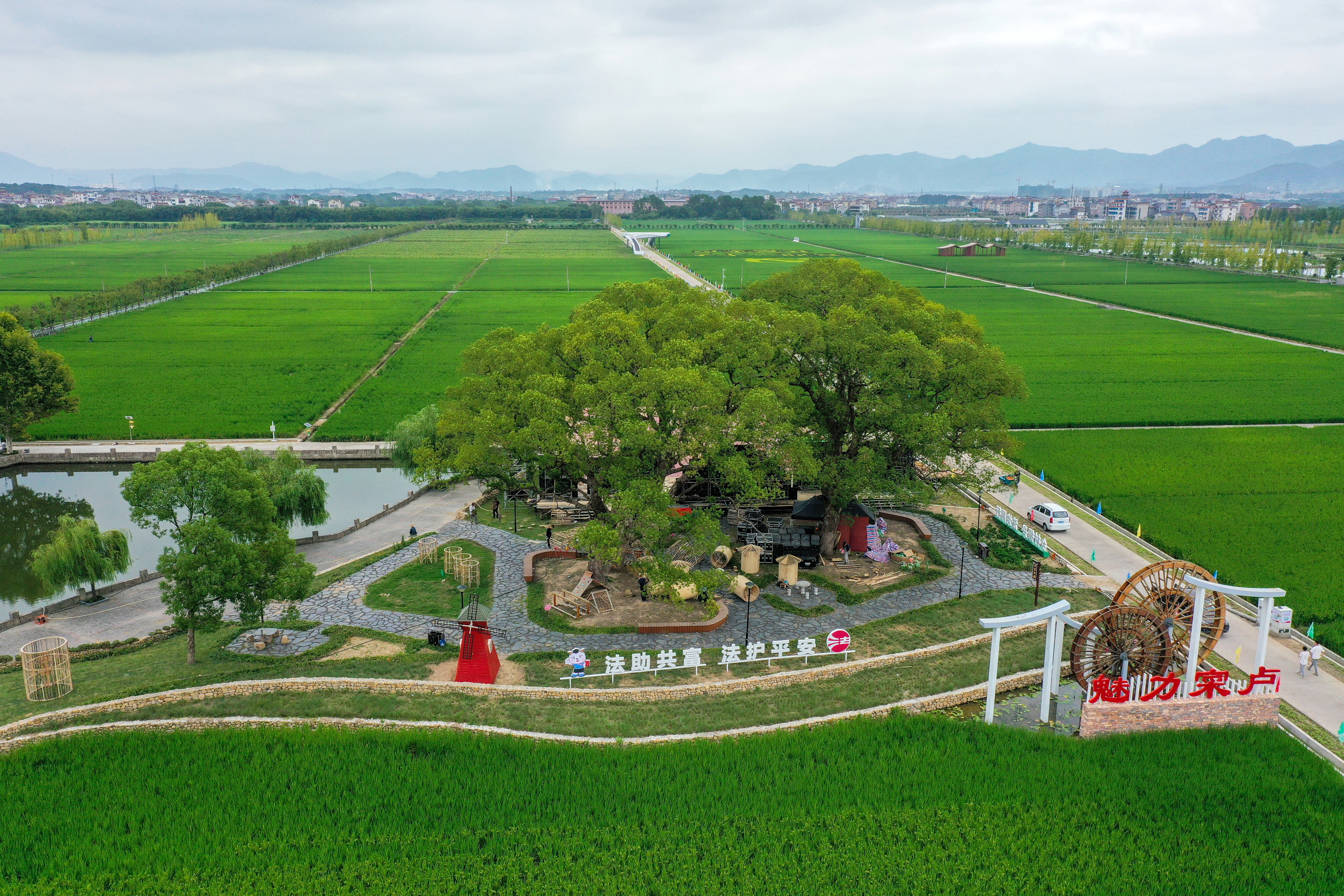 寀卢村:浸润文明乡风 擦亮幸福底色-东阳新闻网